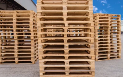 Kunststof pallets vs houten pallets: Wat past het best bij jou?